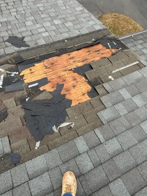 Slide of All Structure Maintenance