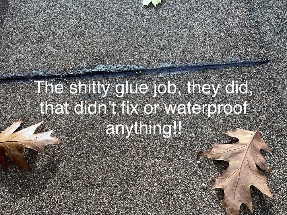 Slide of All Time Home Improvement