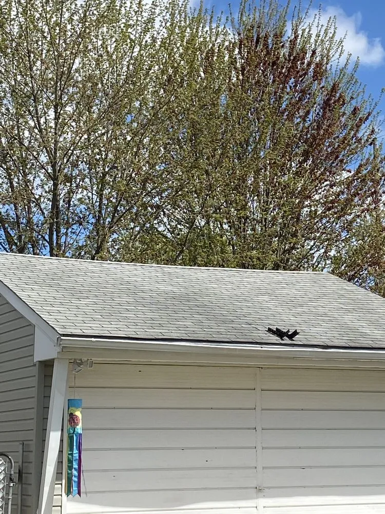 Slide of All Time Home Improvement