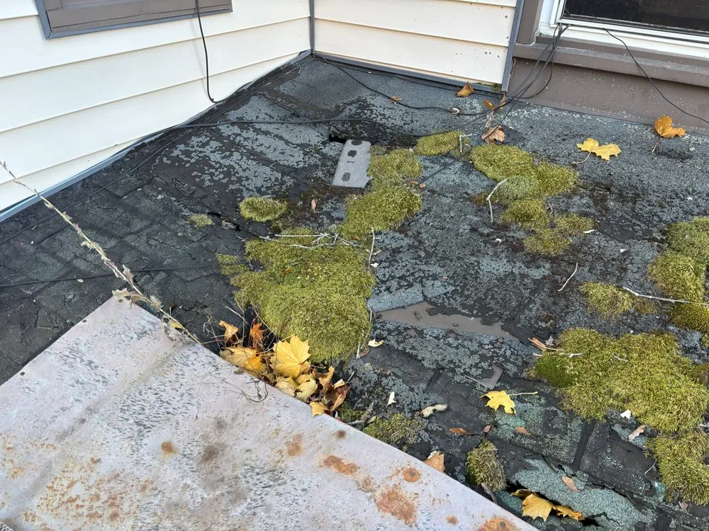 Slide of All Type Roofing