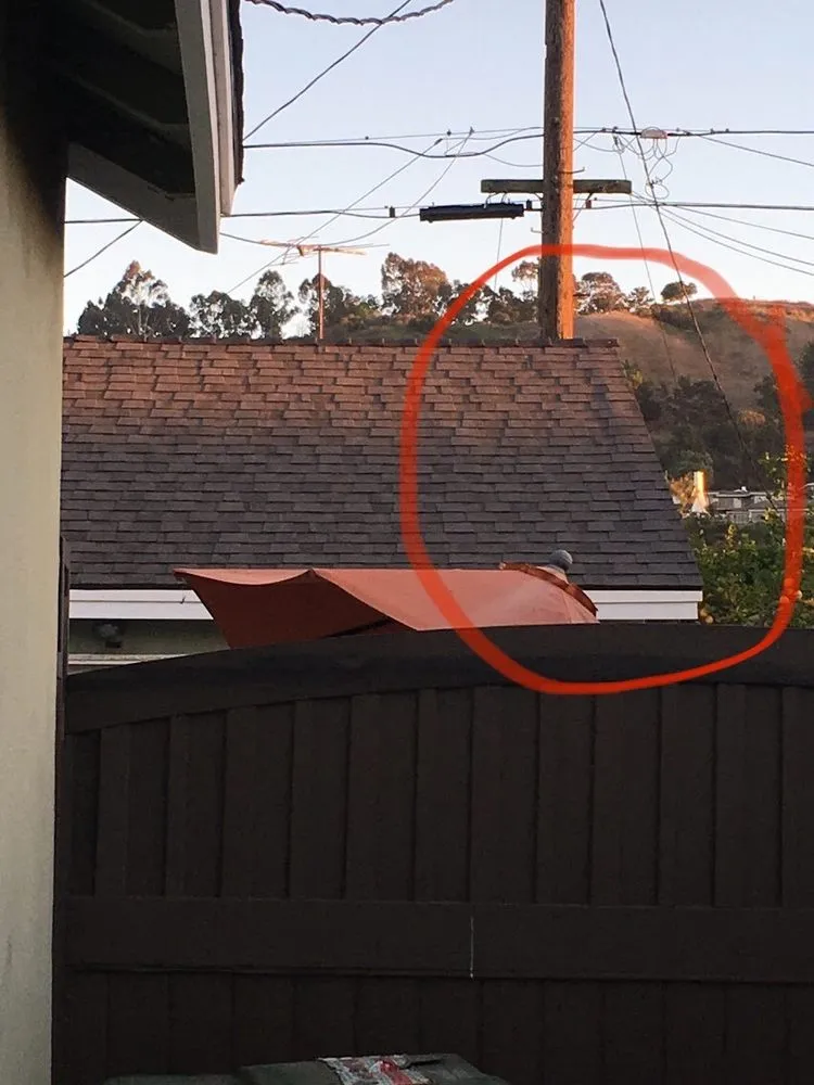 Trusted shingle roofing service in Arleta, CA by All United Roofing