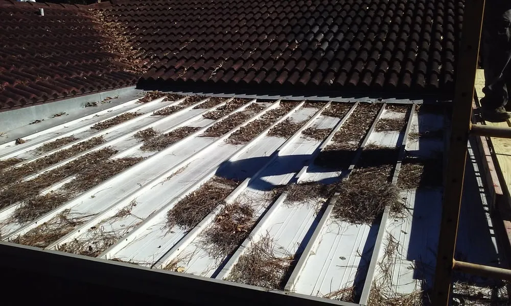 Slide of All Weather Insulated Roof Coating Services