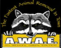 Slide of All Wildlife Animal Eviction