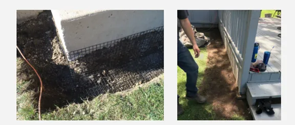 Slide of All Wildlife Animal Eviction