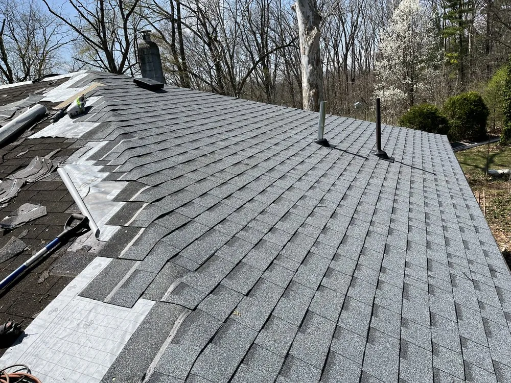 Slide of All You Need