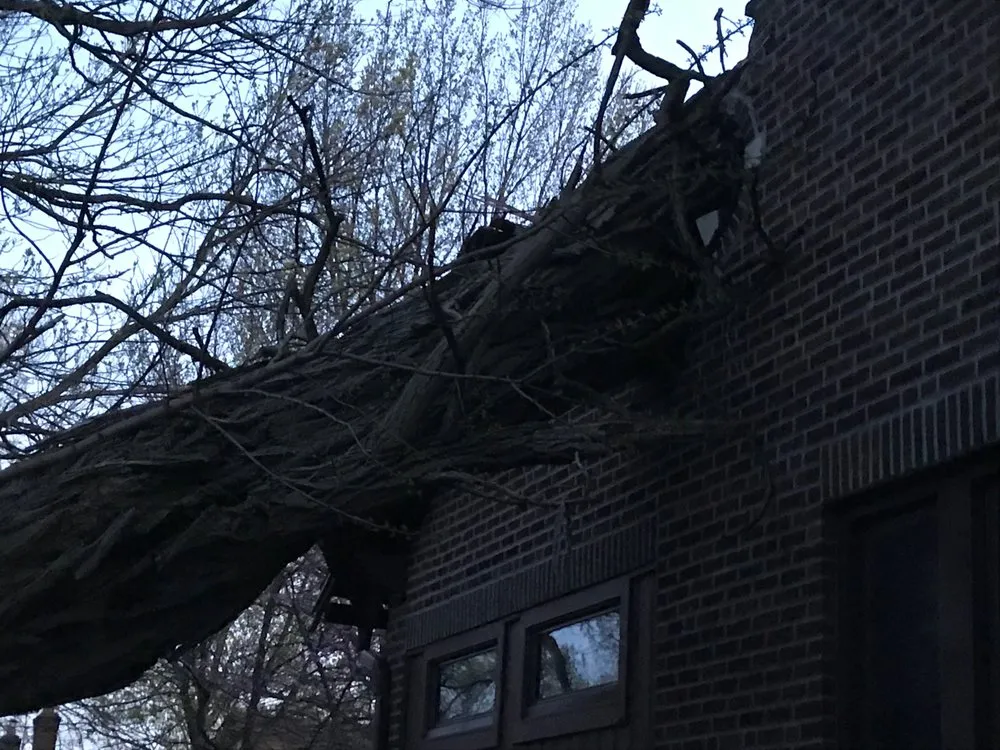 Professional shingle roofing service experts serving St Louis, MO - Allen Construction and Tree Service