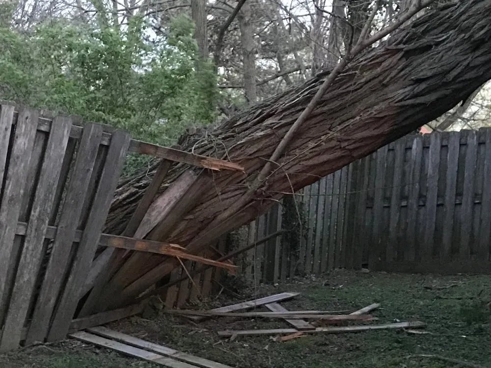 Top-rated roof repair in St Louis, MO by Allen Construction and Tree Service