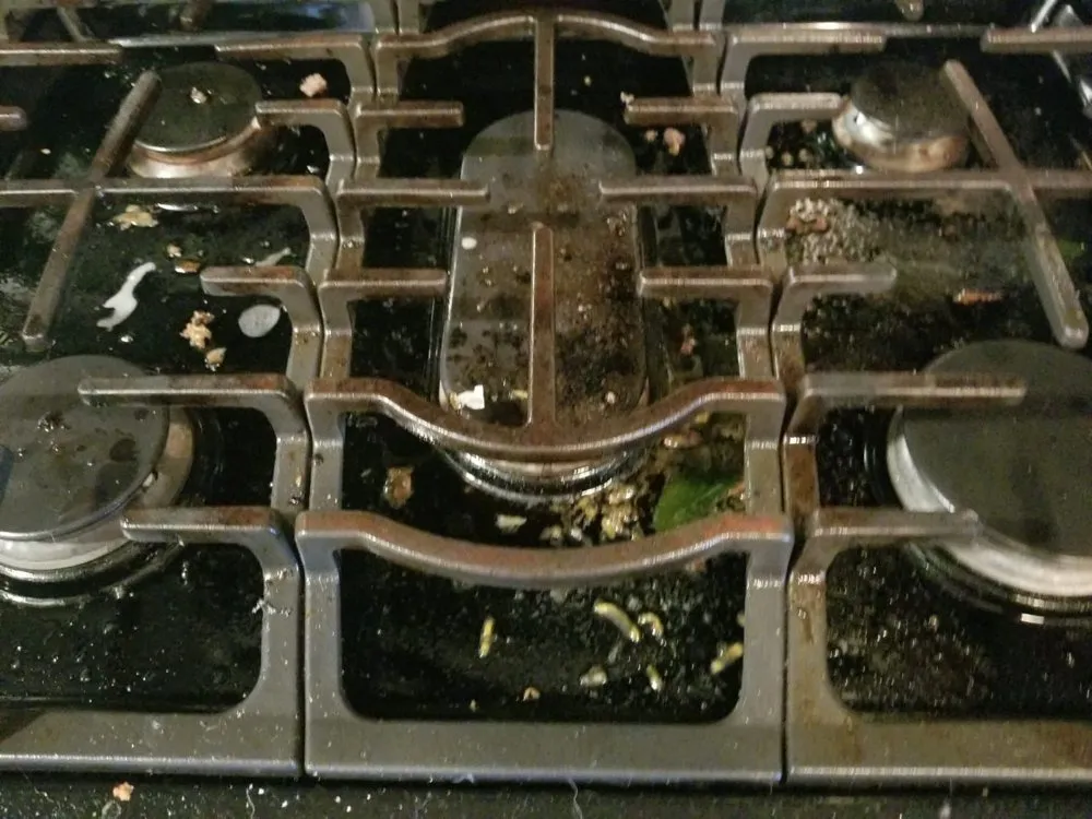 Slide of Alliance Construction