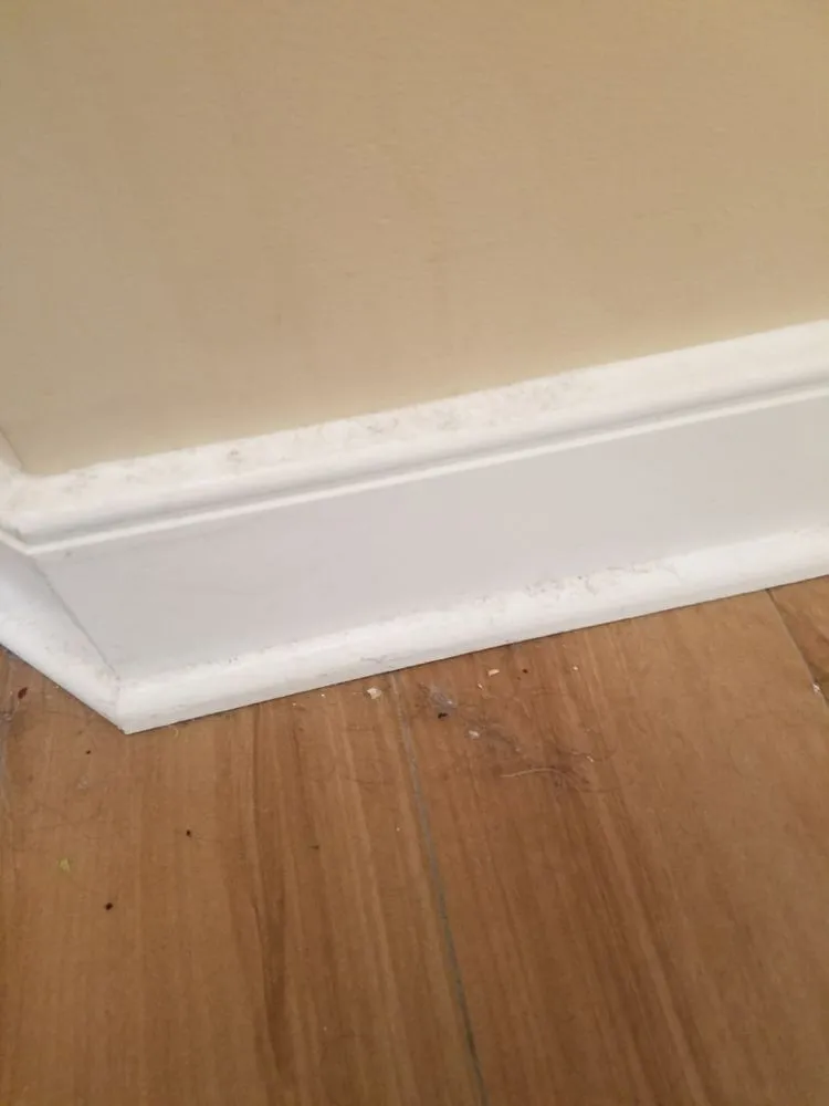 Slide of Alliance Construction