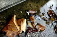 Slide of Alliance Windows & Siding