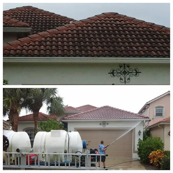 Slide of Allied Roof Cleaning