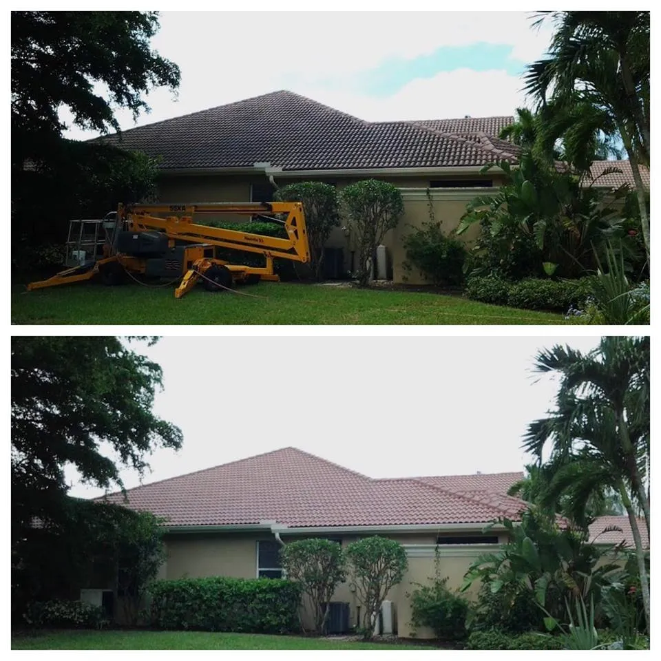 Slide of Allied Roof Cleaning