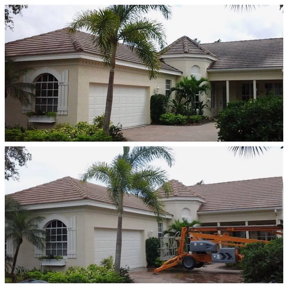 Slide of Allied Roof Cleaning