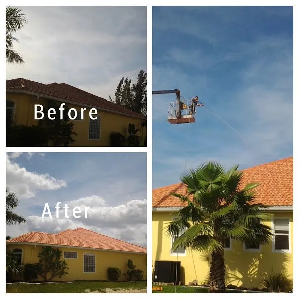 Slide of Allied Roof Cleaning