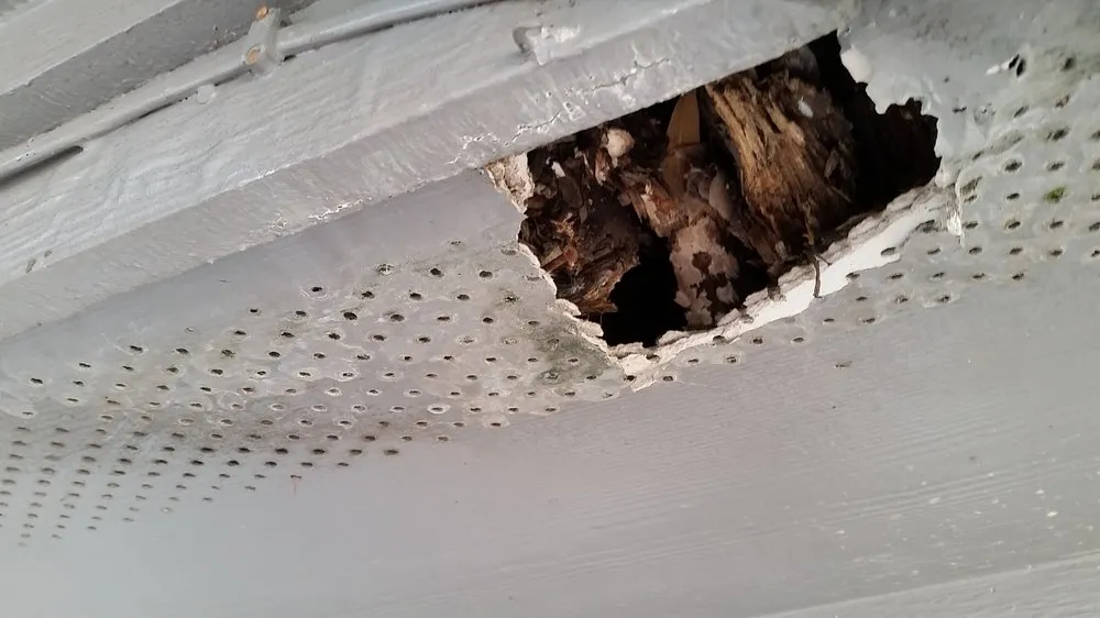 Slide of Allied Siding and Windows