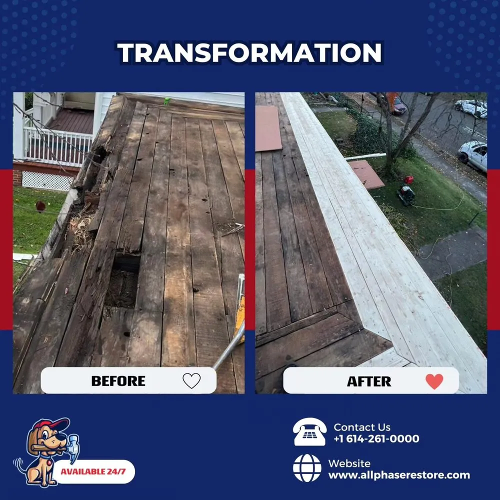 Slide of AllPhase Restoration