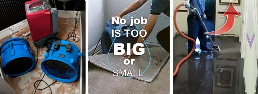 Slide of AllPhase Restoration