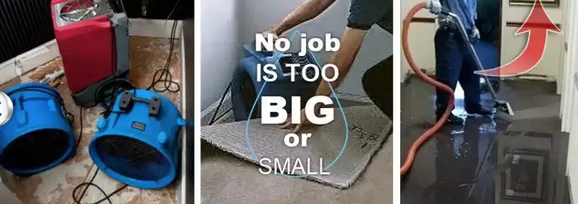 Slide of AllPhase Restoration