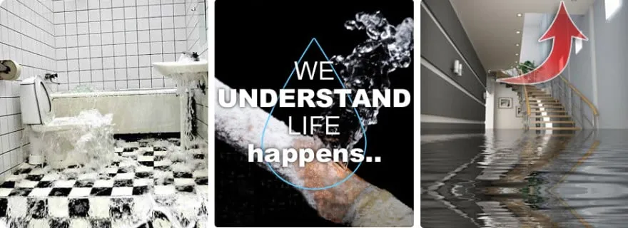 Slide of AllPhase Restoration