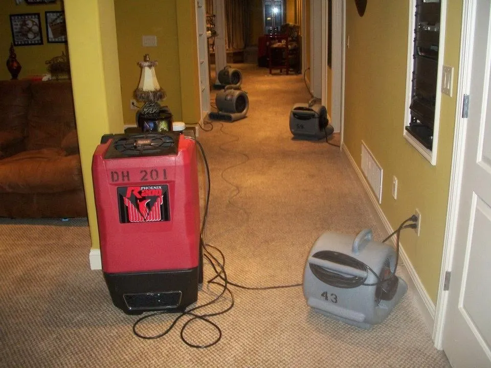 Slide of AllPhase Restoration