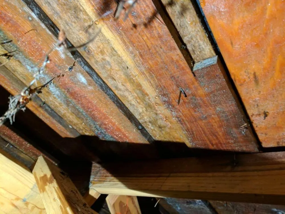 Slide of Allways Roofing