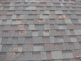 Slide of Almada Roofing