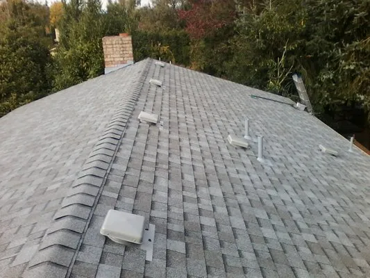 Aloha Roofing