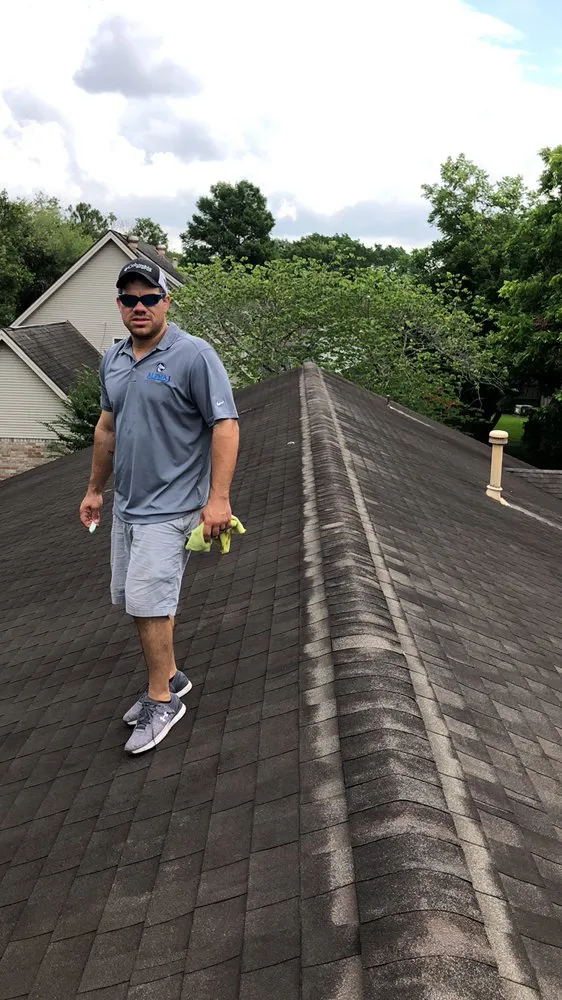 Slide of Alpha 1 Restorations