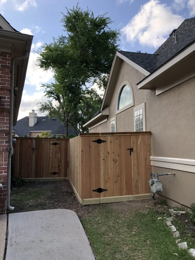 Slide of Alpha 1 Restorations