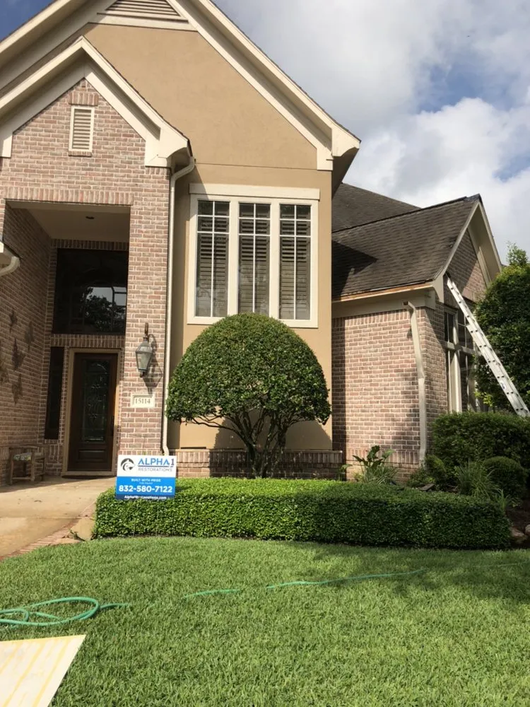 Slide of Alpha 1 Restorations