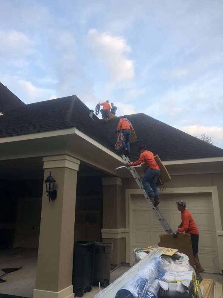 Slide of Alpha 1 Restorations