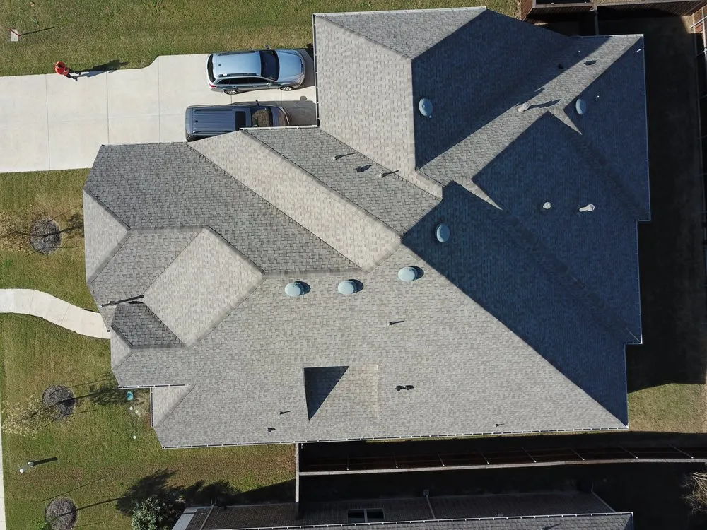 Slide of Alpha 1 Restorations