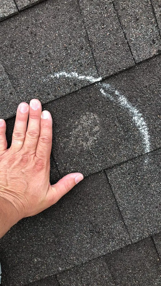 Slide of Alpha 1 Restorations