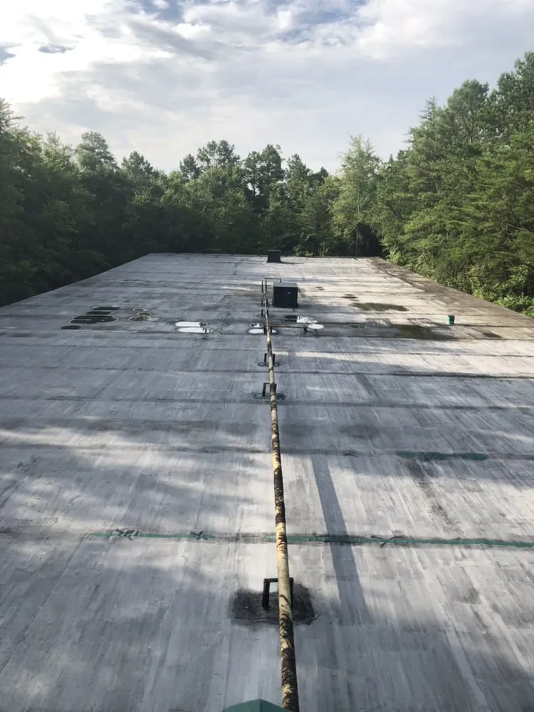 Slide of Alpha Coating