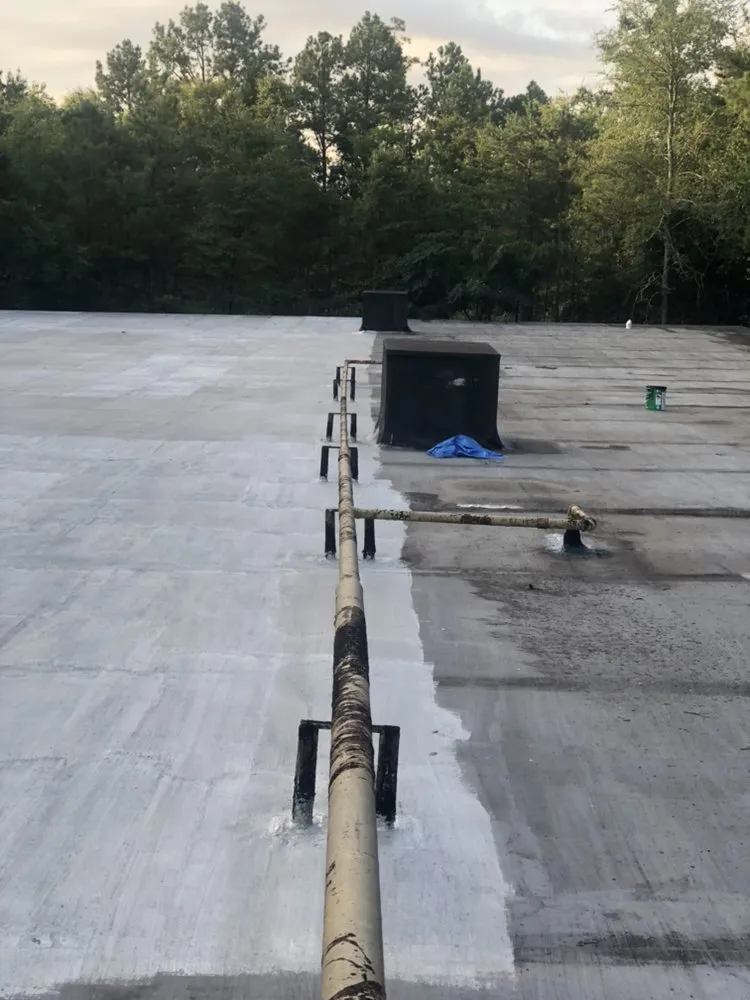 Slide of Alpha Coating