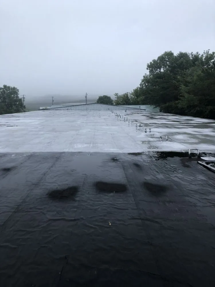 Slide of Alpha Coating