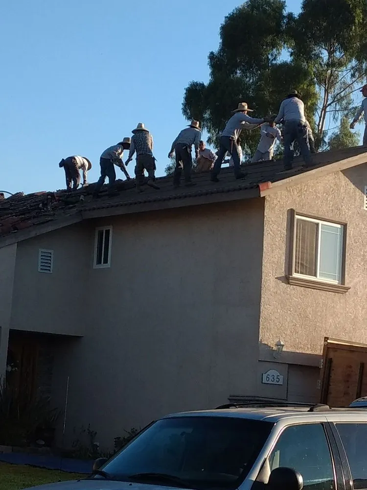 Slide of Alpha Demolition