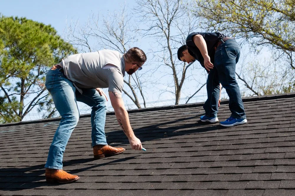 Slide of Alpha Elite Roofing