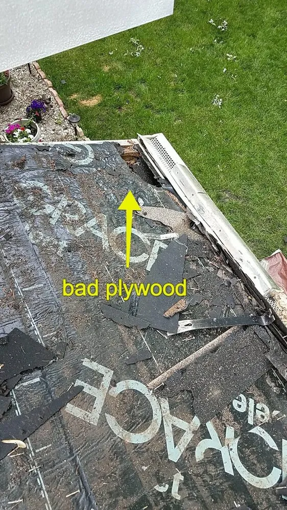 Slide of Alpha Exterior