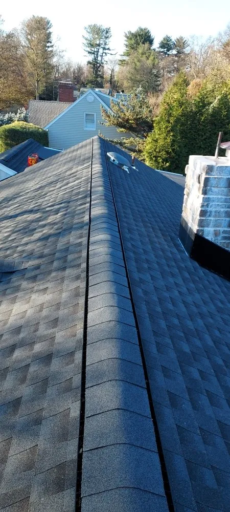 Slide of Alpha Home Roofing