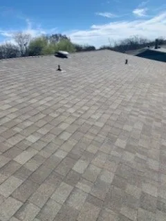 Slide of Alpha Line Developers