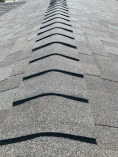 Slide of Alpha Line Developers