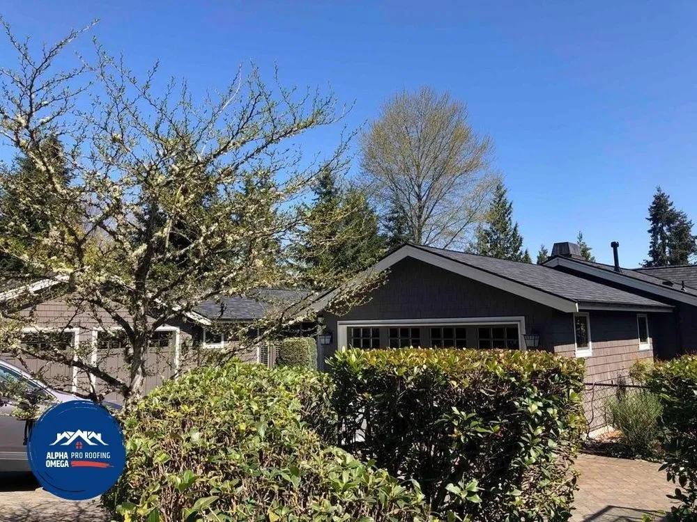 Slide of Alpha Omega Pro Roofing