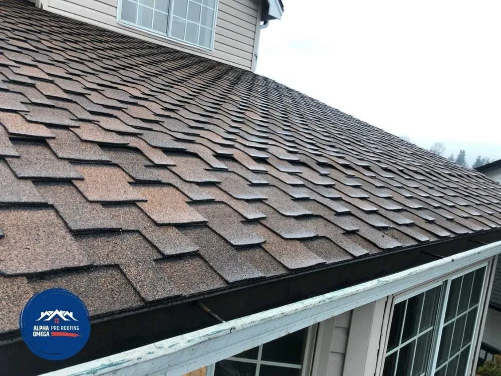 Slide of Alpha Omega Pro Roofing