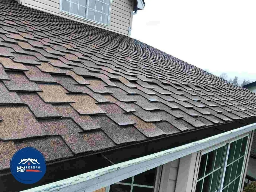 Slide of Alpha Omega Pro Roofing