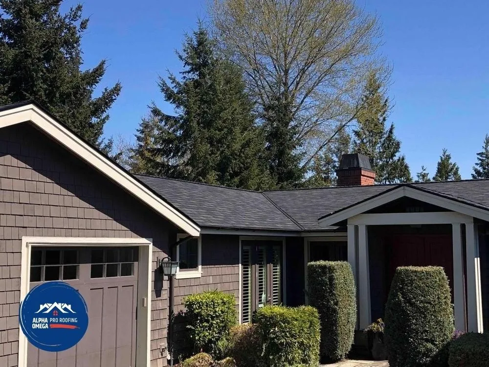 Slide of Alpha Omega Pro Roofing