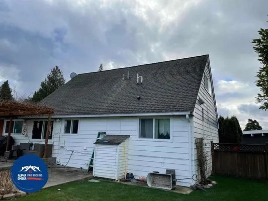 Alpha Omega Pro Roofing Logo