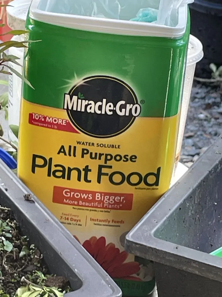 Slide of Alpha Painting & Remodeling