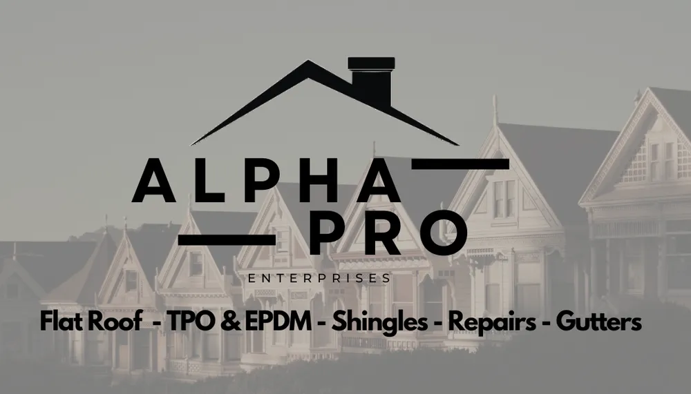 Slide of Alpha Pro Enterprises