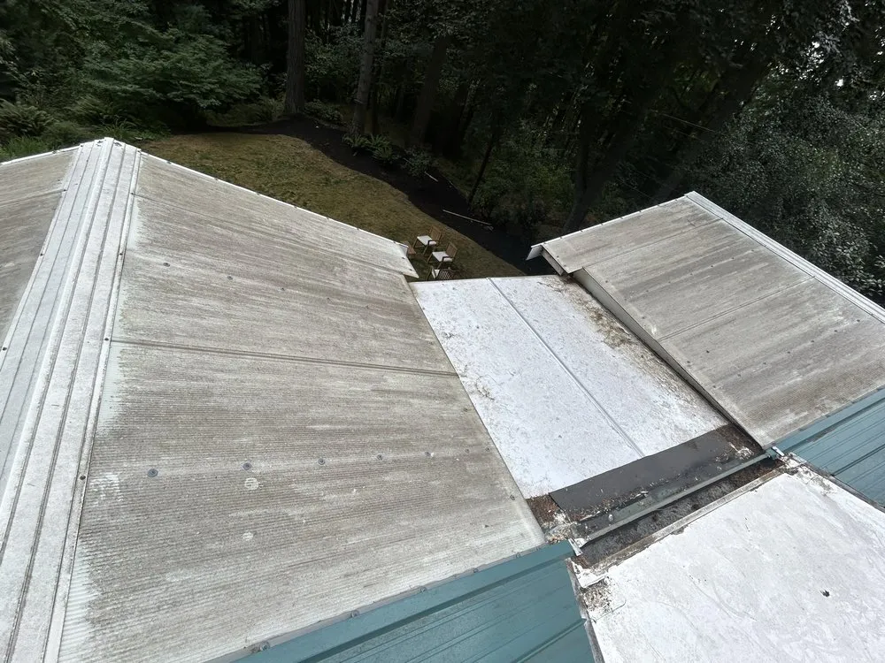 Slide of Alpha Pro Wash